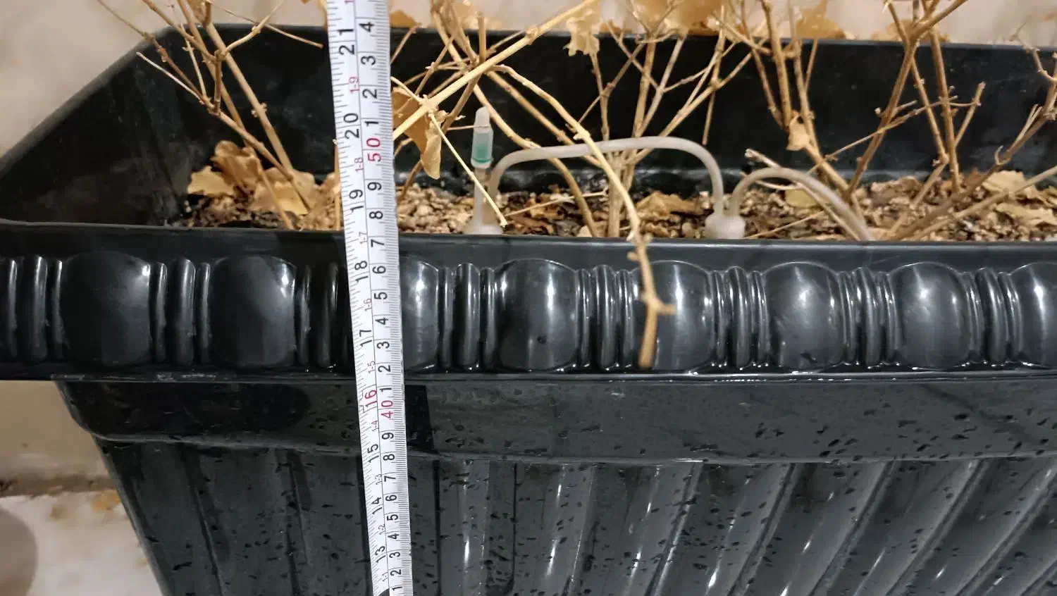 گلدان بزرگ|گل مصنوعی|اهواز, کمپلو شمالی|دیوار