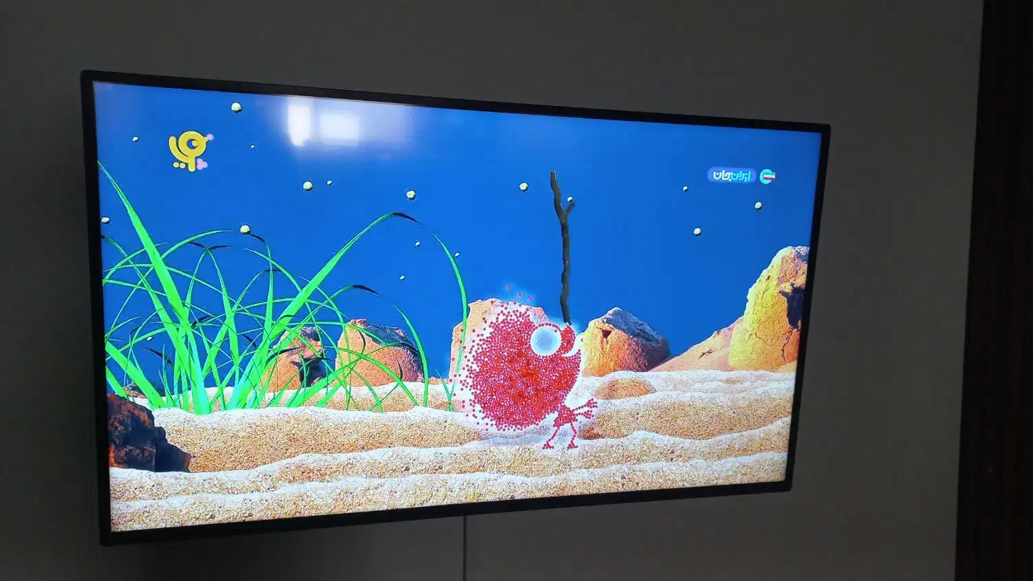 تلوزیون ۴۹ اینچ سینگل|تلویزیون و پروژکتور|محمدیه-قزوین, |دیوار