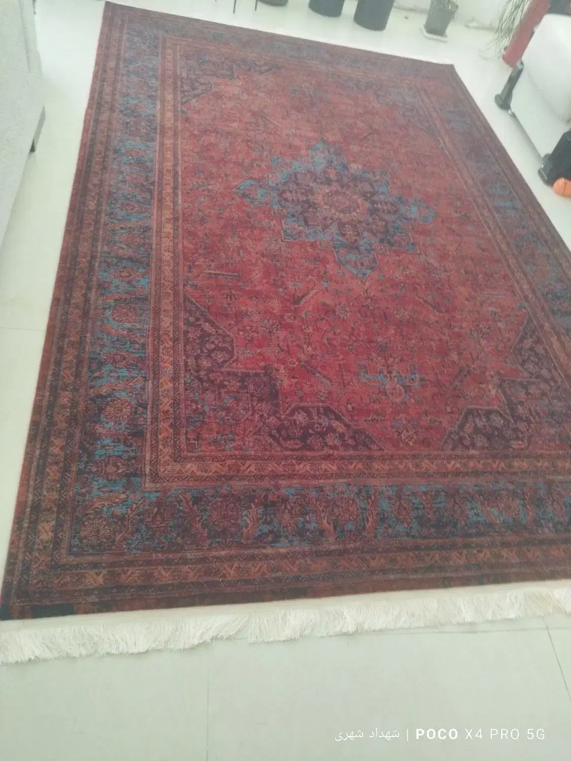 فرش ۶ متری جفت|فرش|مشهد, تربیت (صدف)|دیوار