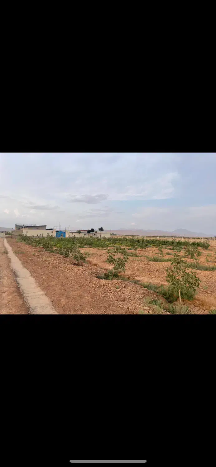 دامداری و باغ پسته|فروش دفتر صنعتی، کشاورزی، تجاری|ایوانکی, |دیوار