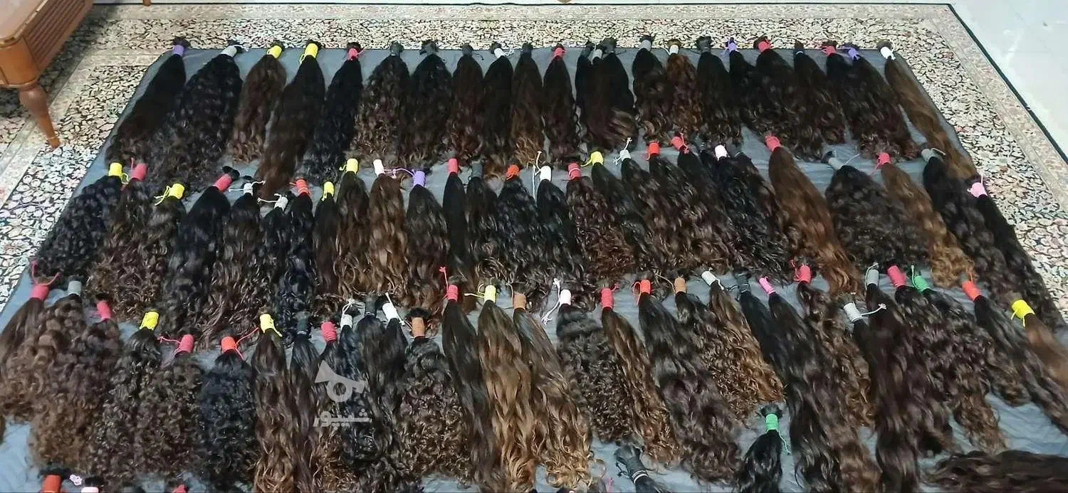 خریدار اصلی مو با بهترین قیمت|خدمات آرایشگری و زیبایی|سنندج, |دیوار