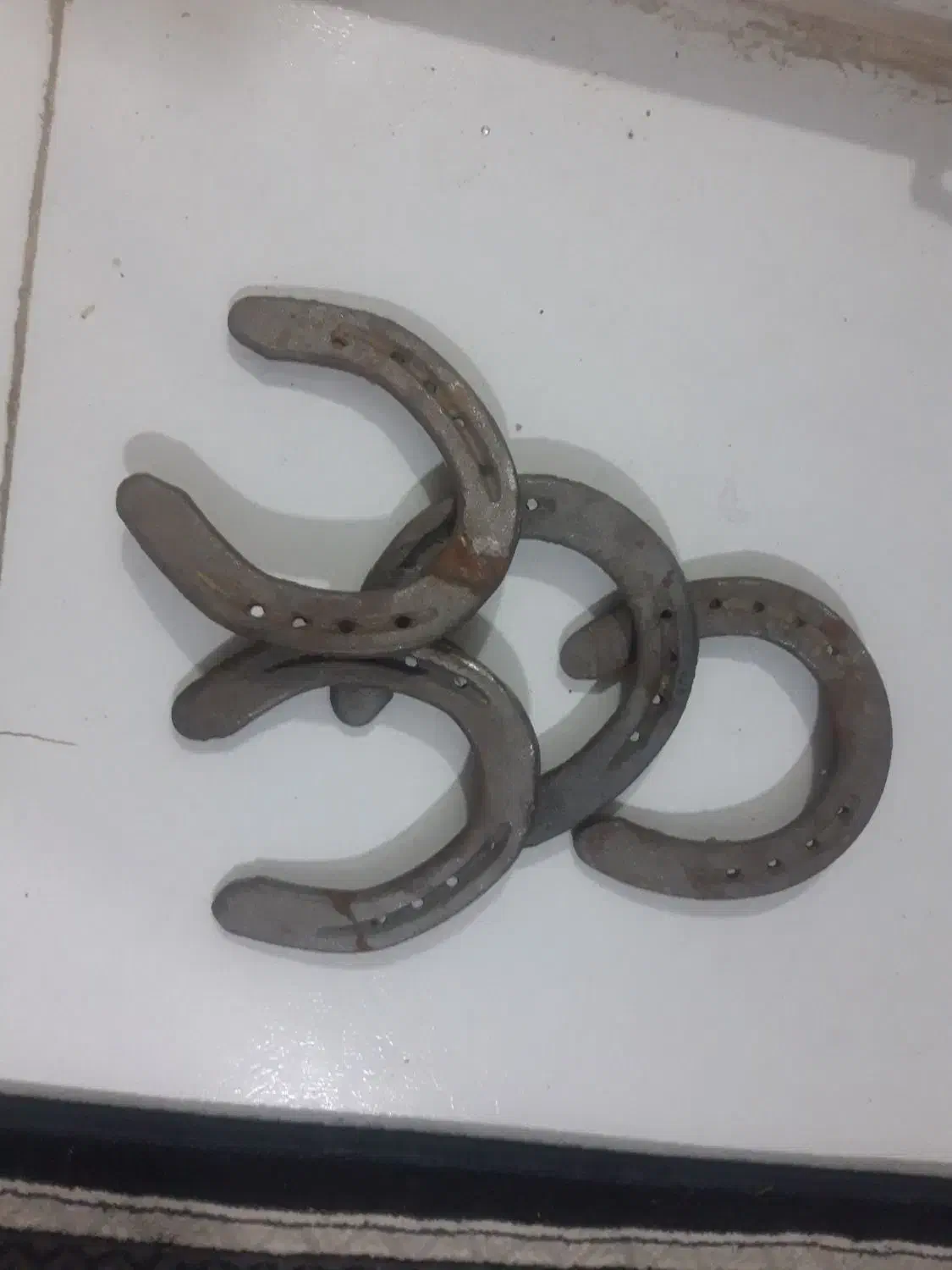 نعل اسب|اسب و تجهیزات اسب‌سواری|مشهد, طبرسی شمالی|دیوار