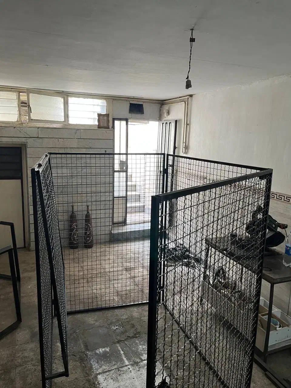 کفتر گنجه|لوازم جانبی حیوانات|رباطکریم, رباطکریم|دیوار