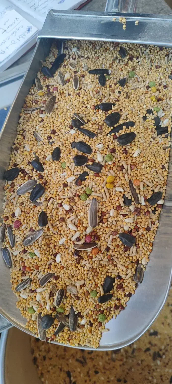 خوراک پرندگان زینتی در پرنده سرای طبیعت|لوازم جانبی حیوانات|مرند, |دیوار