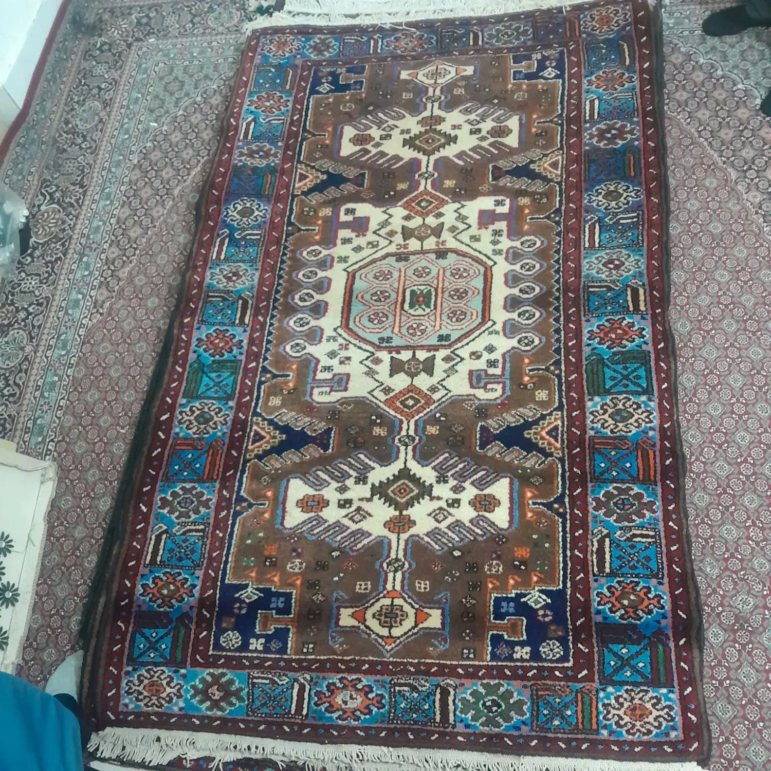 فرش دستباف|فرش|ابهر, |دیوار