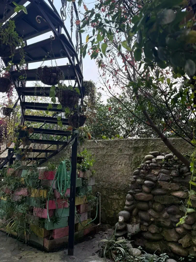 رهن و اجاره در چالوس شمال|اجارهٔ خانه و ویلا|چالوس, |دیوار