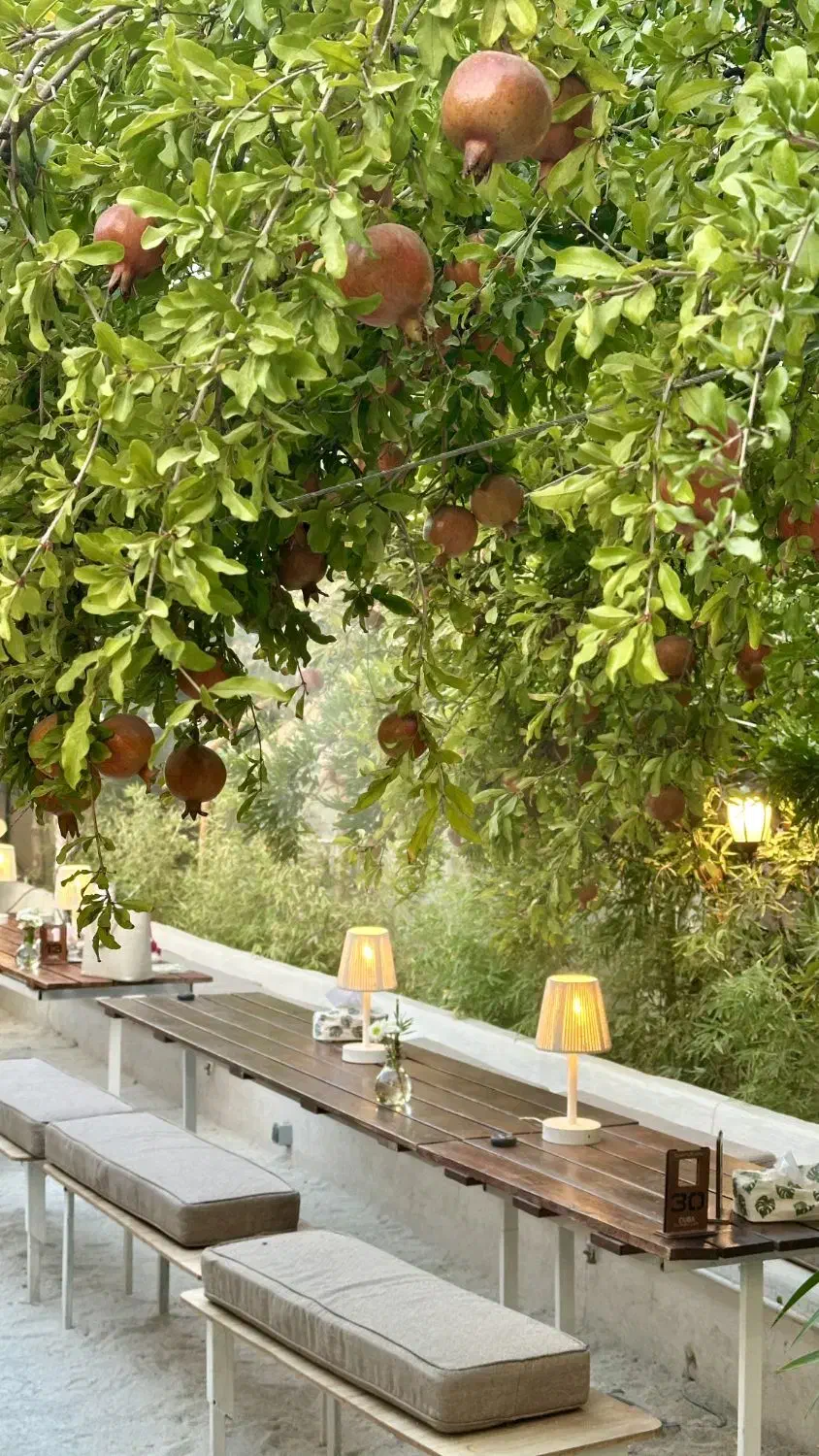 تکمیل کادر کافه کوبا|استخدام خدمات فروشگاه و رستوران|شیراز, دکتر حسابی|دیوار