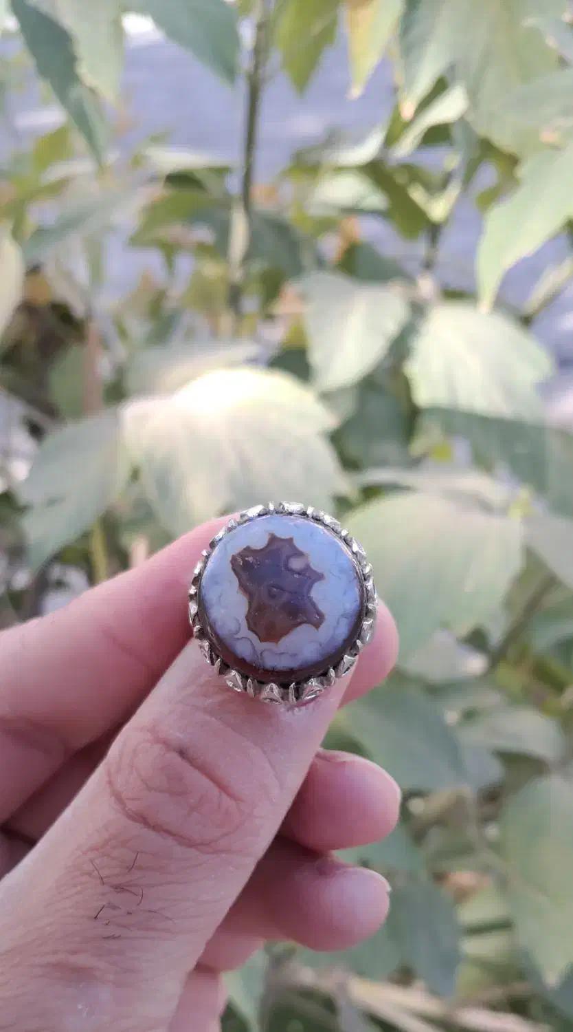 سه پوست   مصور   مراکش|بدلیجات|اهواز, دانشگاه چمران|دیوار