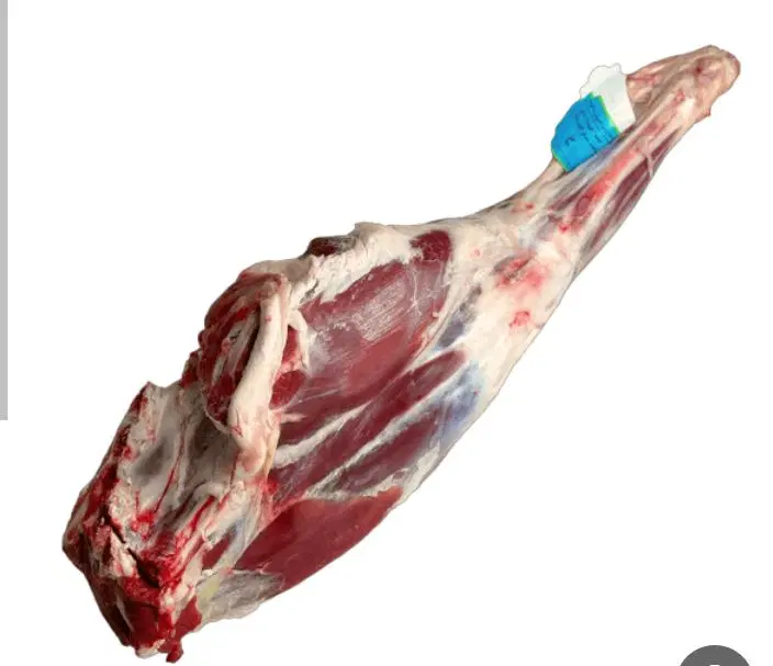 گوشت|خوردنی و آشامیدنی|تربت‌حیدریه, پایانه مسافربری تربت حیدریه|دیوار