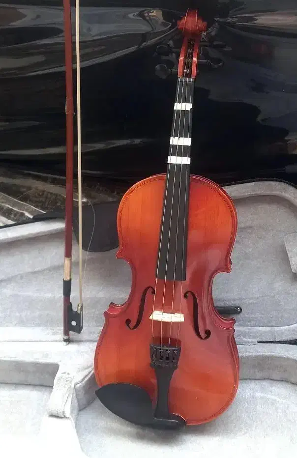 ویالون tf|ویولن|بندر ماهشهر, |دیوار