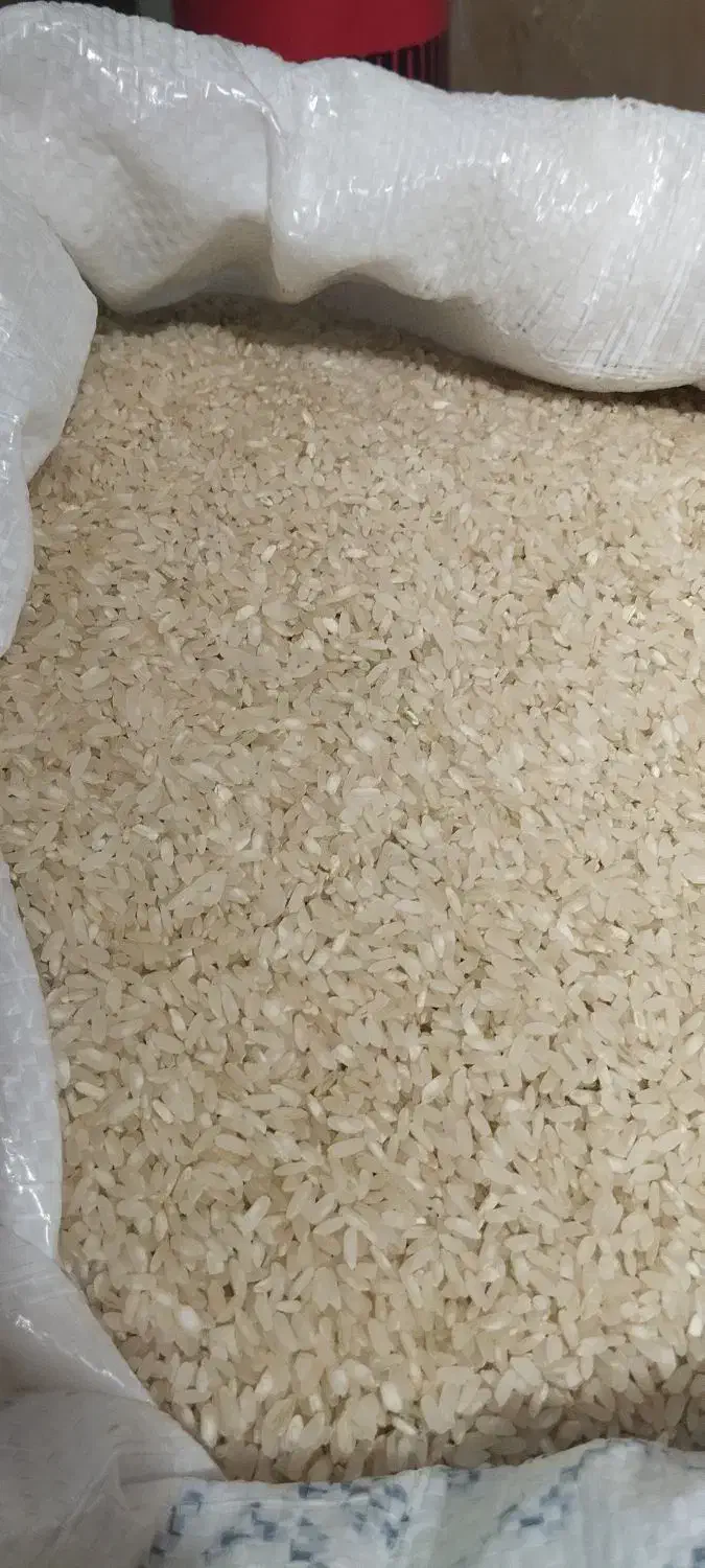 برنج کامفیروزی به شرط خرید کشاورز|خوردنی و آشامیدنی|شیراز, گود خزینه|دیوار