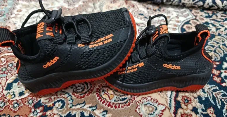 کفش|کیف، کفش، کمربند|کرمانشاه, |دیوار