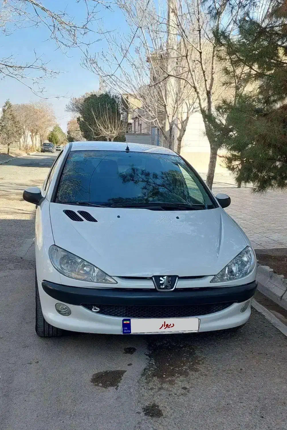 پژو ۲۰۶تیپ پنج|خودرو سواری و وانت|تربتحیدریه, شهرک ولیعصر|دیوار