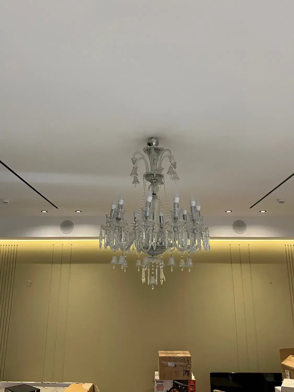 دو عدد لوستر ۱۰ شاخه با دیوار کوب|لوستر و چراغ آویز|تهران, تهرانپارس غربی|دیوار