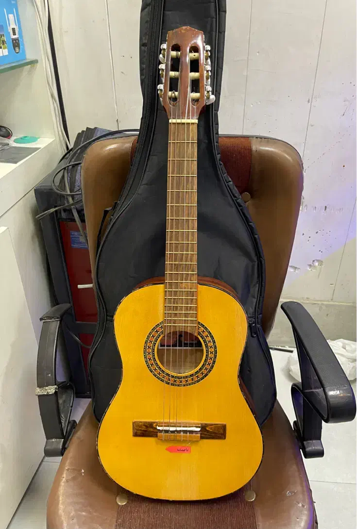 گیتار مدل رویال کلاسیک|گیتار، بیس، امپلیفایر|فردیس, فردیس|دیوار