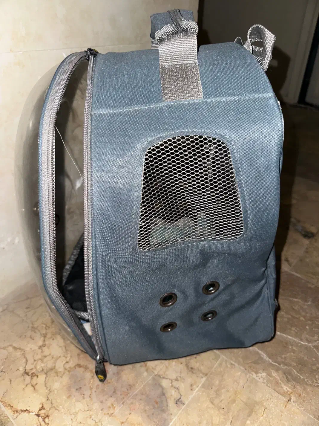 کیف سگ|لوازم جانبی حیوانات|ساری, |دیوار