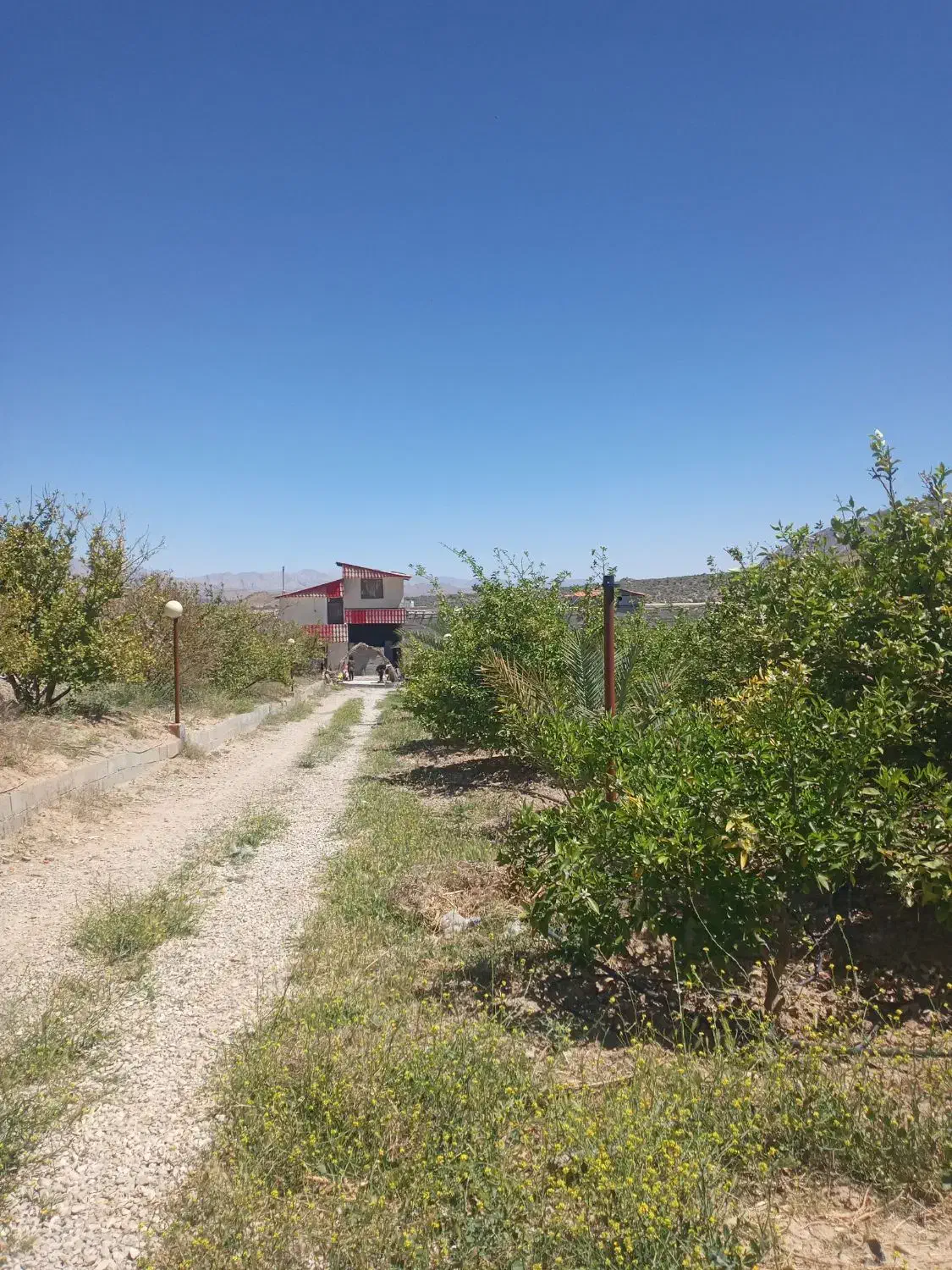 باغ با استخر و خانه در ملوان خفر|فروش خانه و ویلا|خفر, |دیوار