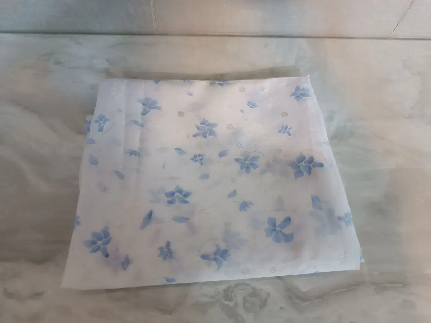 پارچه چادری|لباس|نیشابور, گمنام غربی|دیوار