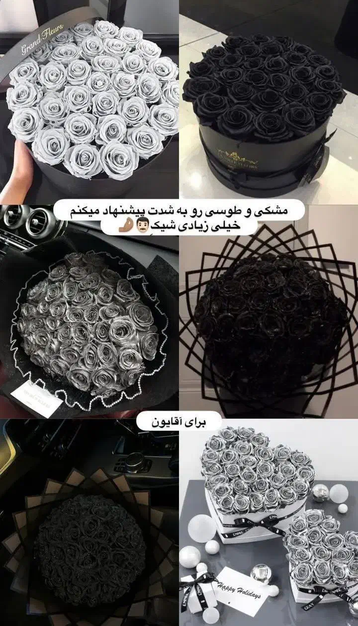 گل ربانی|گل و گیاه طبیعی|شیراز, قلات|دیوار