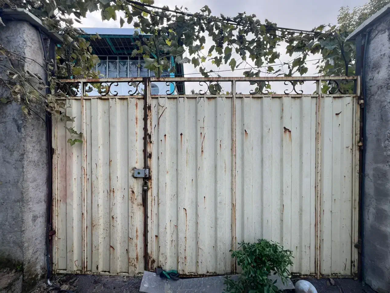 ۳ دروازه اهنی ورق سنگین|مصالح و تجهیزات ساختمان|خمام, |دیوار