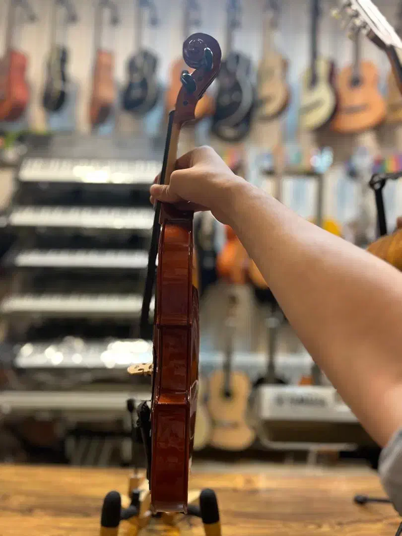 ویولن والنسیا در موزیک ارژنگ|ویولن|پردیس, فاز ۳|دیوار