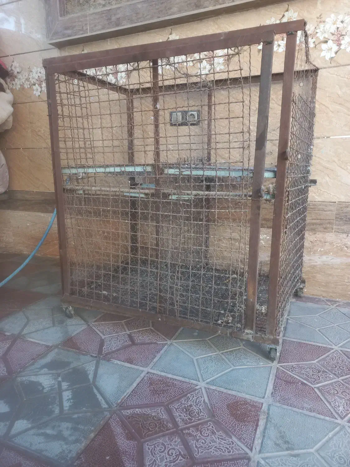 قفس کبوتر|لوازم جانبی حیوانات|نجف‌آباد, یزدانشهر|دیوار