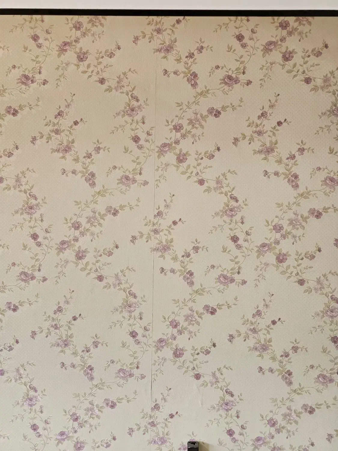 کاغذ دیواری|مصالح و تجهیزات ساختمان|یزد, |دیوار