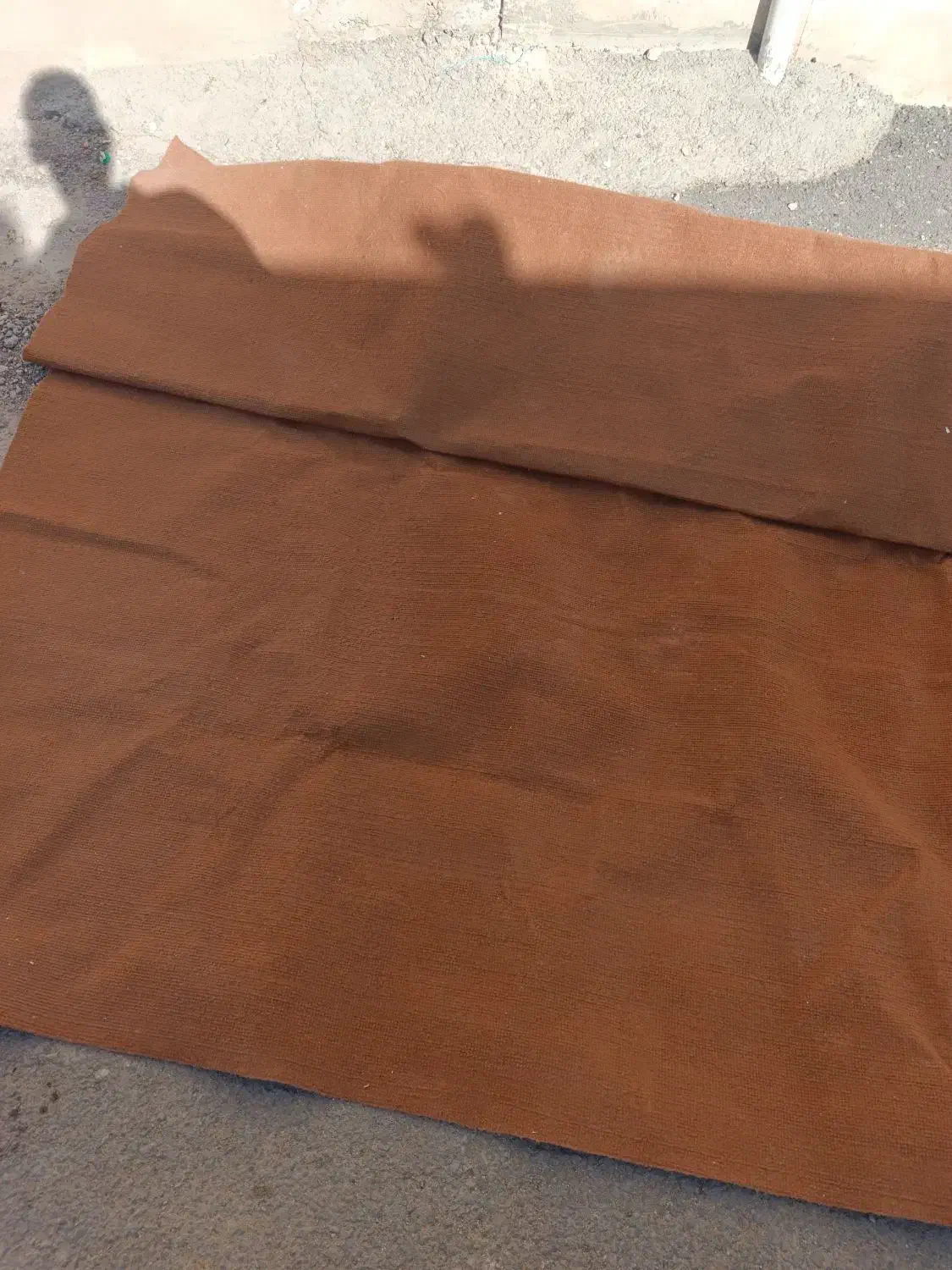 موکت|موکت|بندرعباس, |دیوار