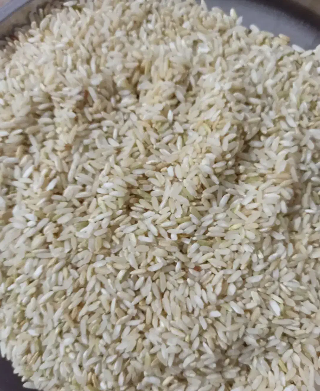 فروش بهترین برنج استان|خوردنی و آشامیدنی|چیتاب, |دیوار