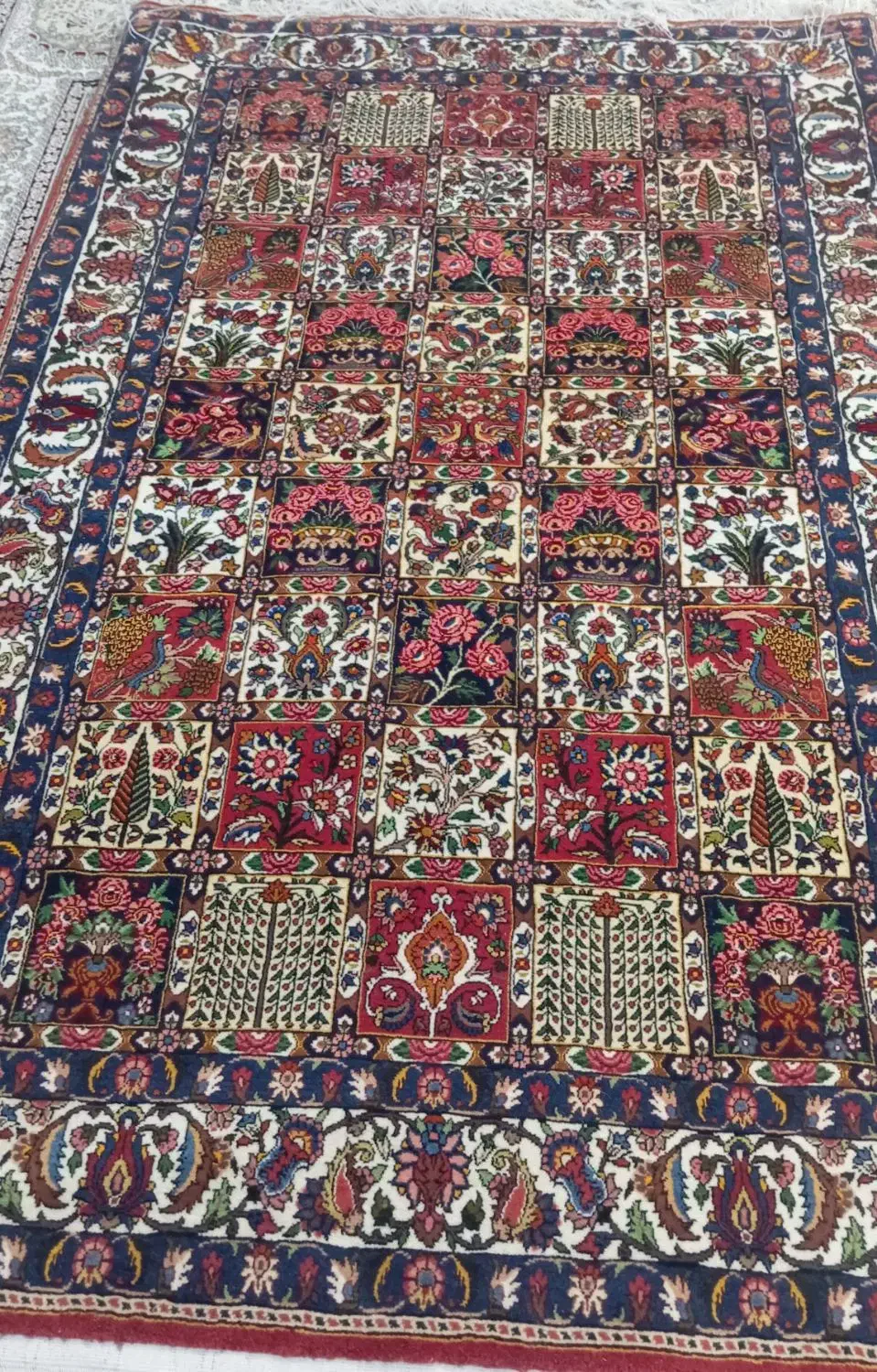 قالی دست بافت|فرش|سامان, |دیوار