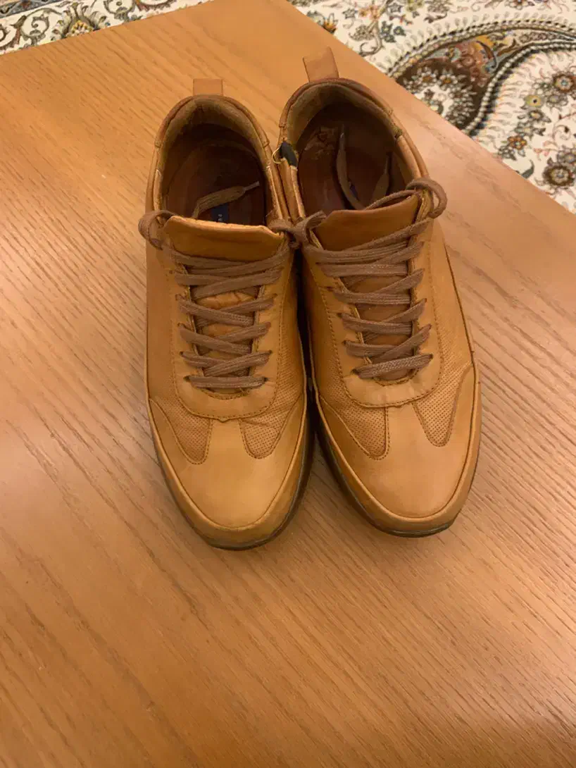 کفش|کیف، کفش، کمربند|بندر کنگان, |دیوار