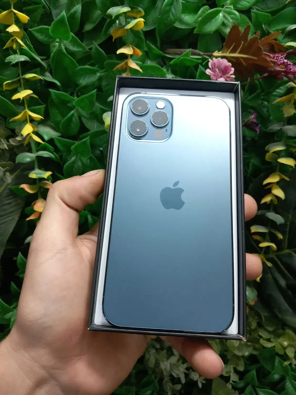 12 pro عتیقه|موبایل|ارومیه, |دیوار