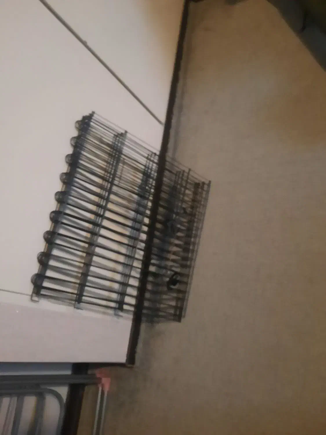 پارک سگ|لوازم جانبی حیوانات|کرج, فاز ۲ مهرشهر|دیوار