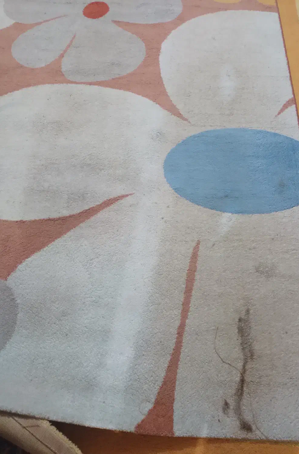 گلیم فرش|گلیم، جاجیم، گبه|رشت, پسیخان|دیوار