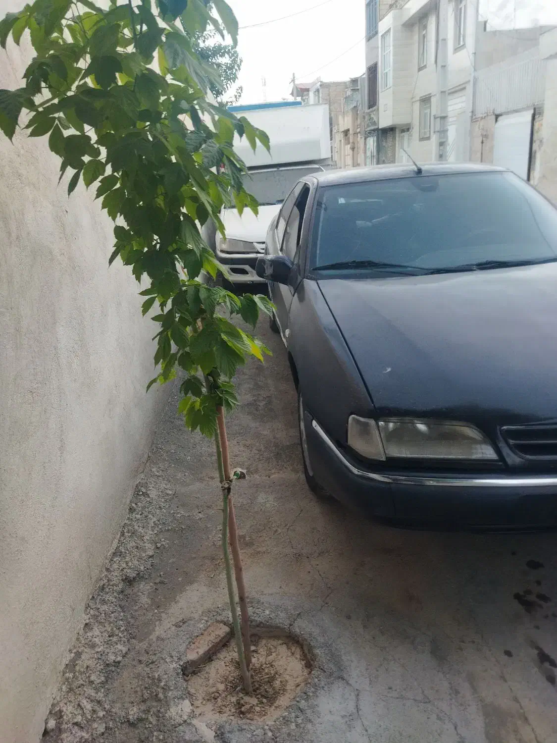 زانتیا ۲۰۰|خودرو سواری و وانت|کرمانشاه, |دیوار