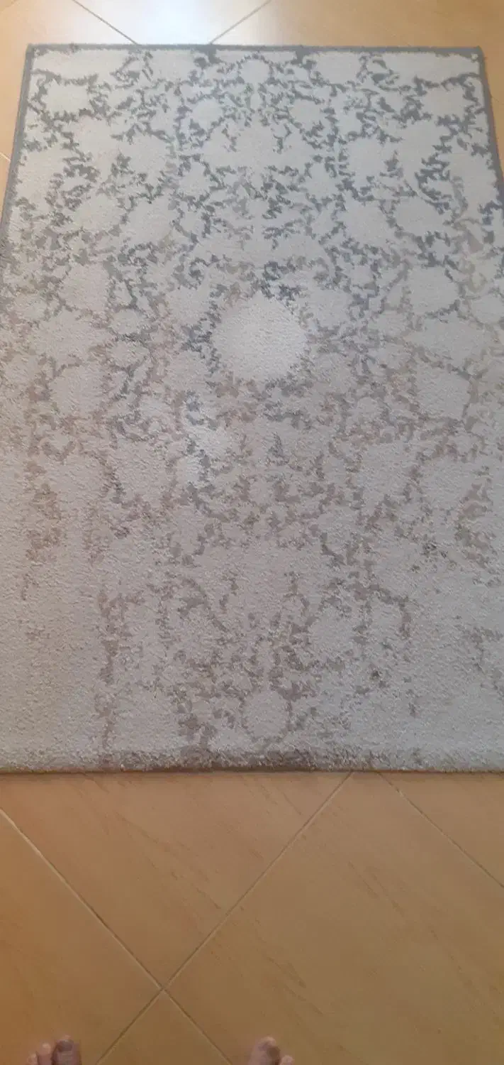 قالیچه|فرش|رشت, دیلمان|دیوار