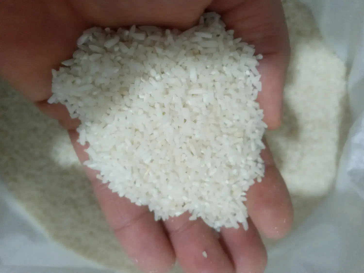 خوراکی|خوردنی و آشامیدنی|الوند, |دیوار