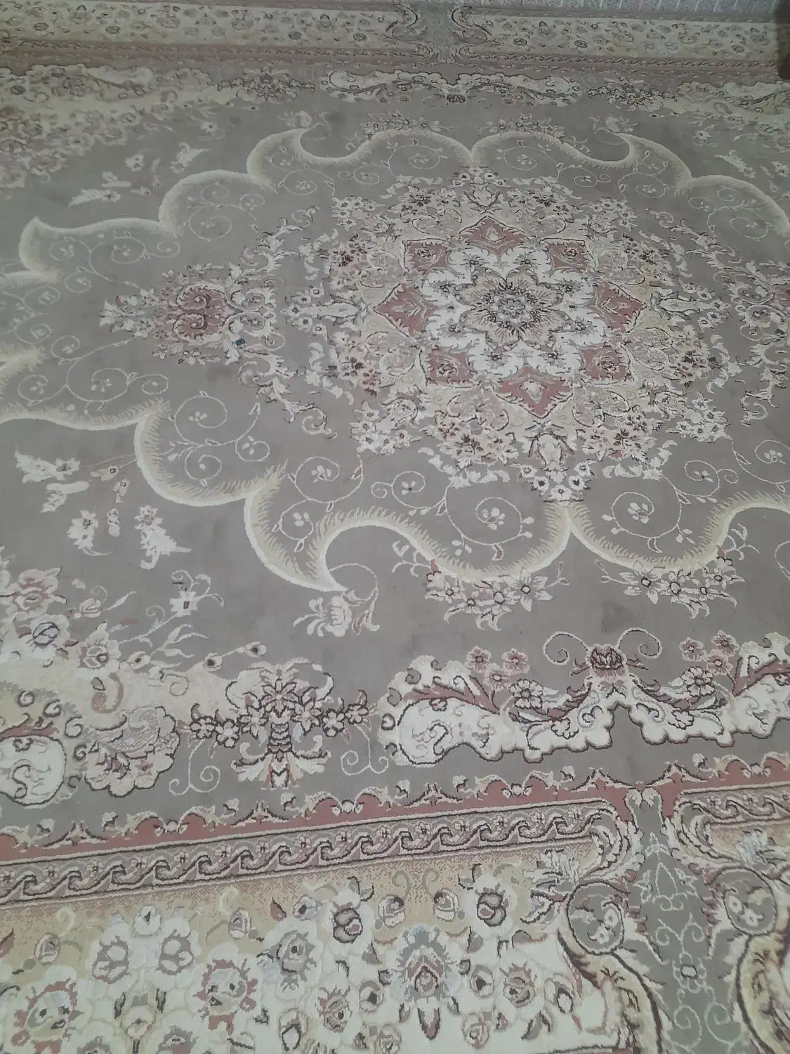 فرش ۱۲متری تمیز|فرش|گرگان, |دیوار