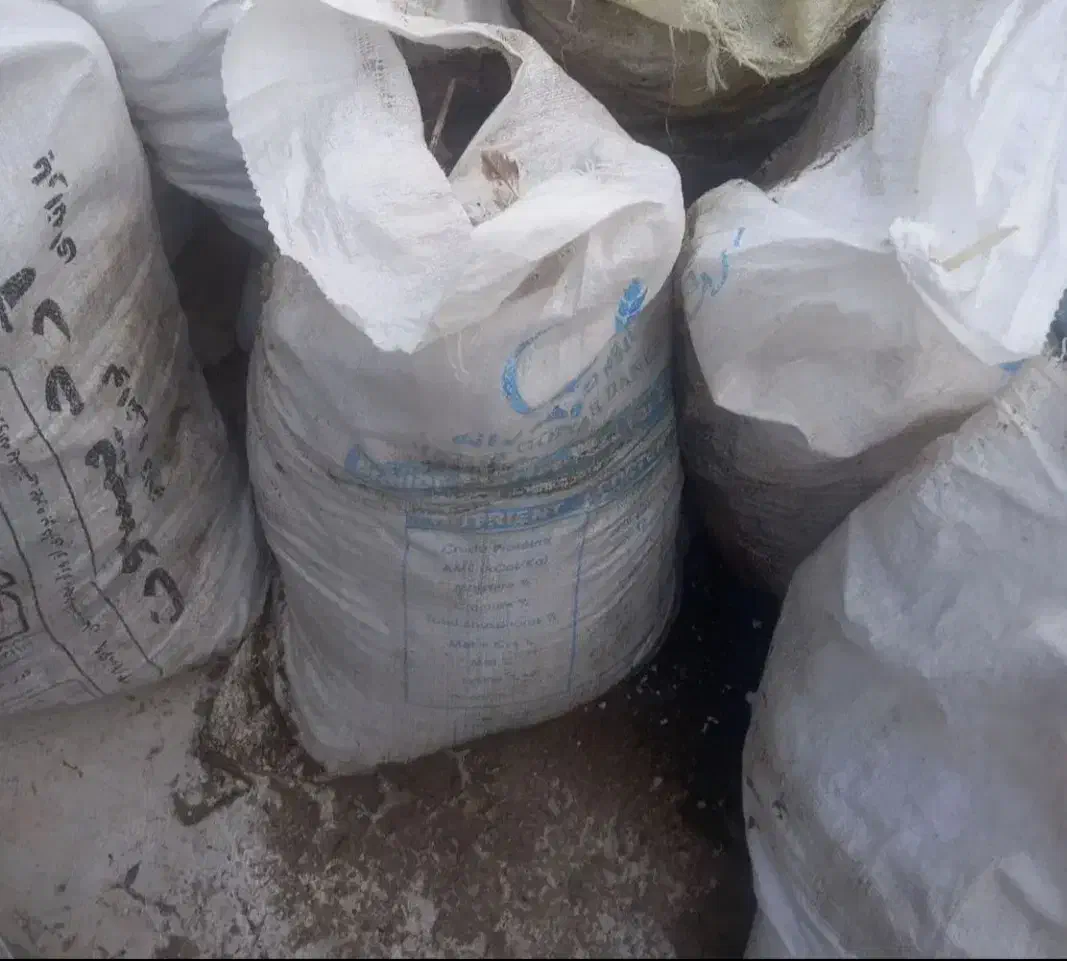 پهن|لوازم جانبی حیوانات|میاندوآب, |دیوار