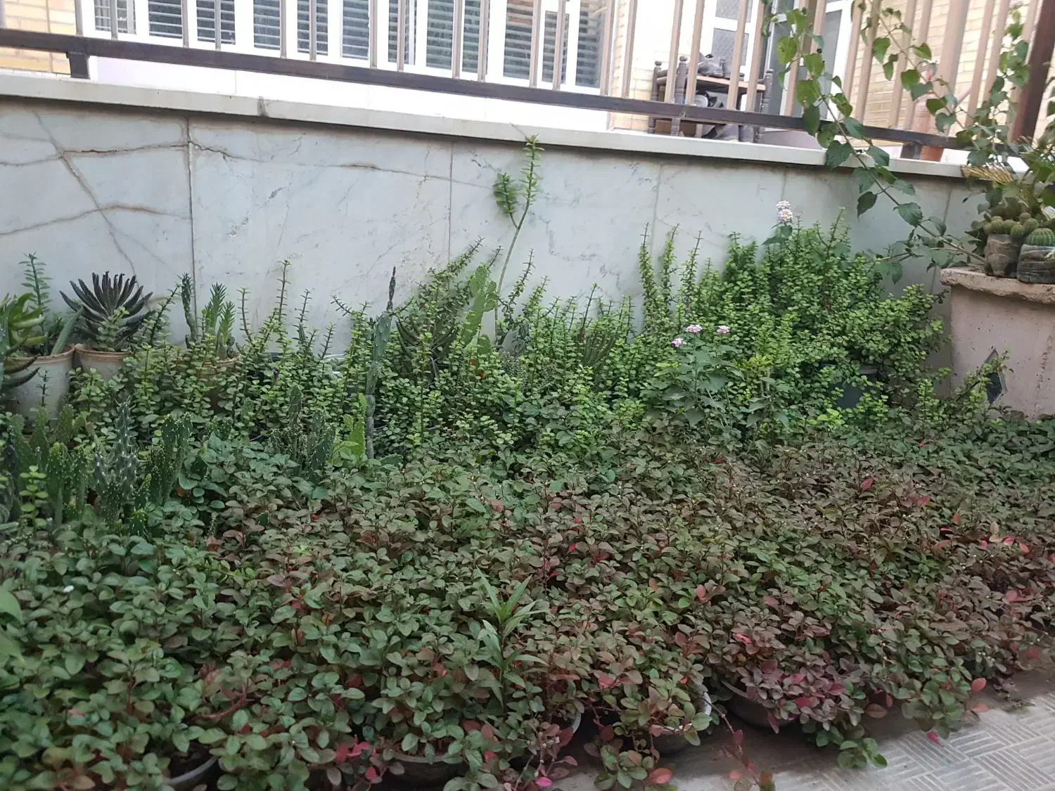 گل.   گل.   گل.|گل مصنوعی|یزد, |دیوار