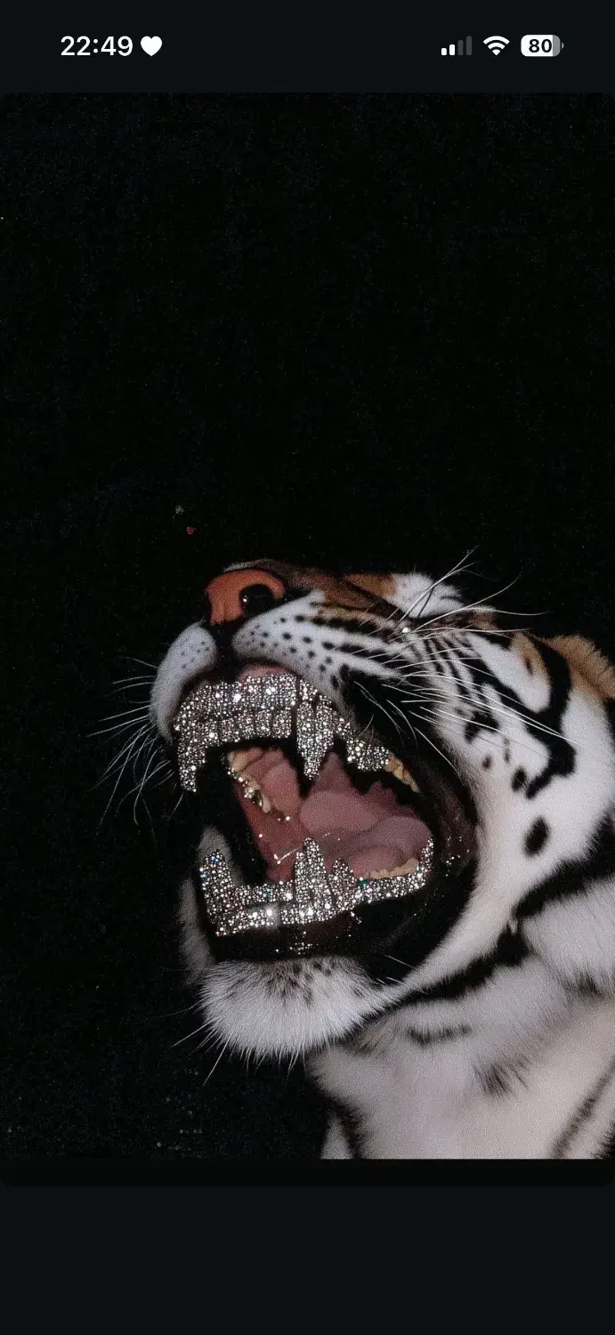 خدمات کالاف دیوتی|کنسول، بازی ویدئویی و آنلاین|تهران, صد دستگاه|دیوار