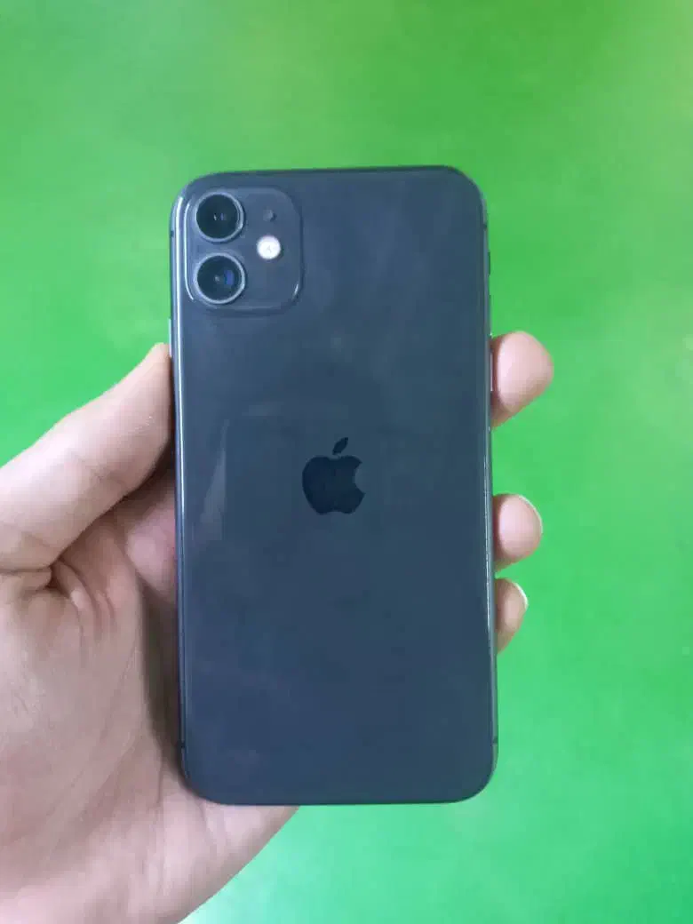 ایفون ۱۱ نرمال|موبایل|اصفهان, پوریای ولی|دیوار