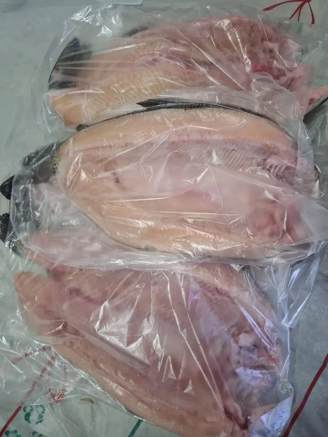 ماهی قزل الا پرورشی سوسن سرخاب پاک شده کیلو370|ماهی|مسجد سلیمان, |دیوار