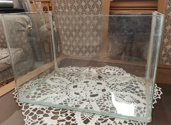 آکواریوم شیشه خم|ماهی|مشهد, سید رضی|دیوار