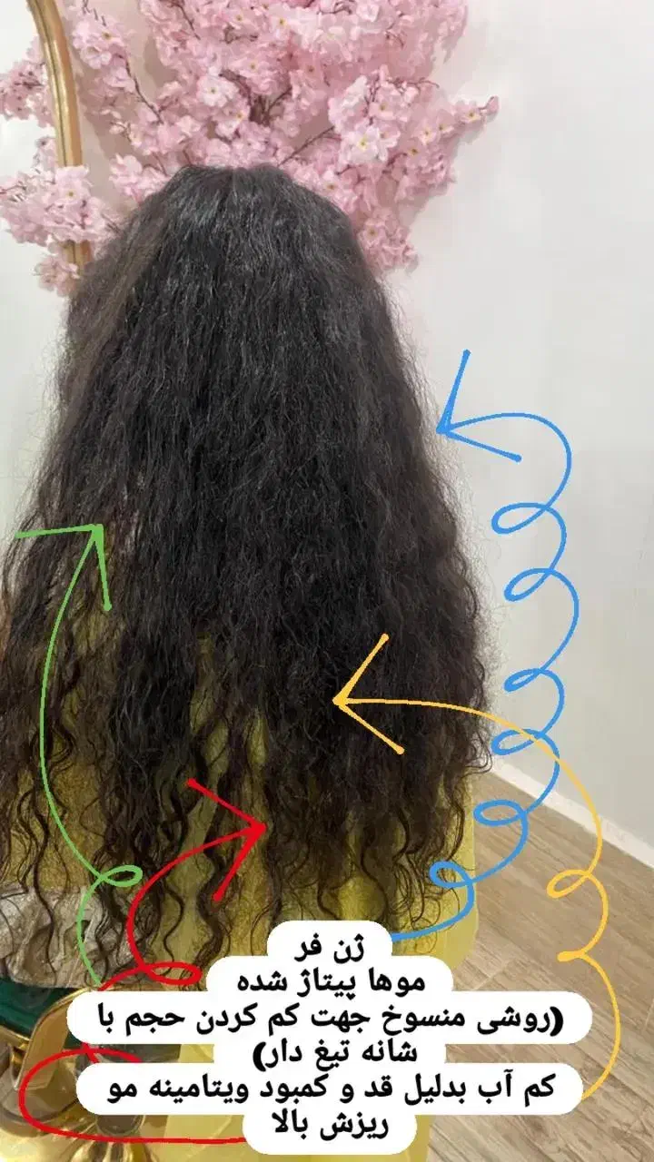 آموزش ‌احیاصافی|خدمات آموزشی|زاهدان, |دیوار