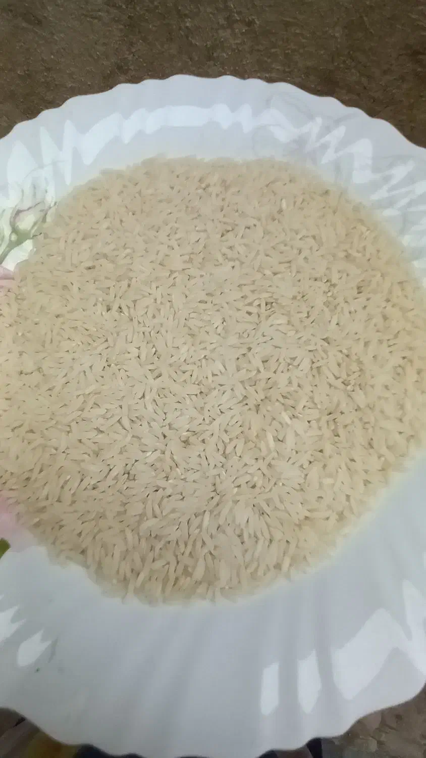 نیمدانه هاشمی نیمه دودی آستانه اشرفیه|خوردنی و آشامیدنی|رشت, خرسندی|دیوار