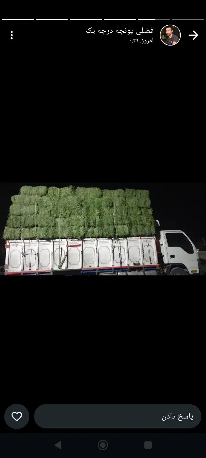 یونجه اعلاء چین چهارم|لوازم جانبی حیوانات|اصفهان, باغ فردوس|دیوار