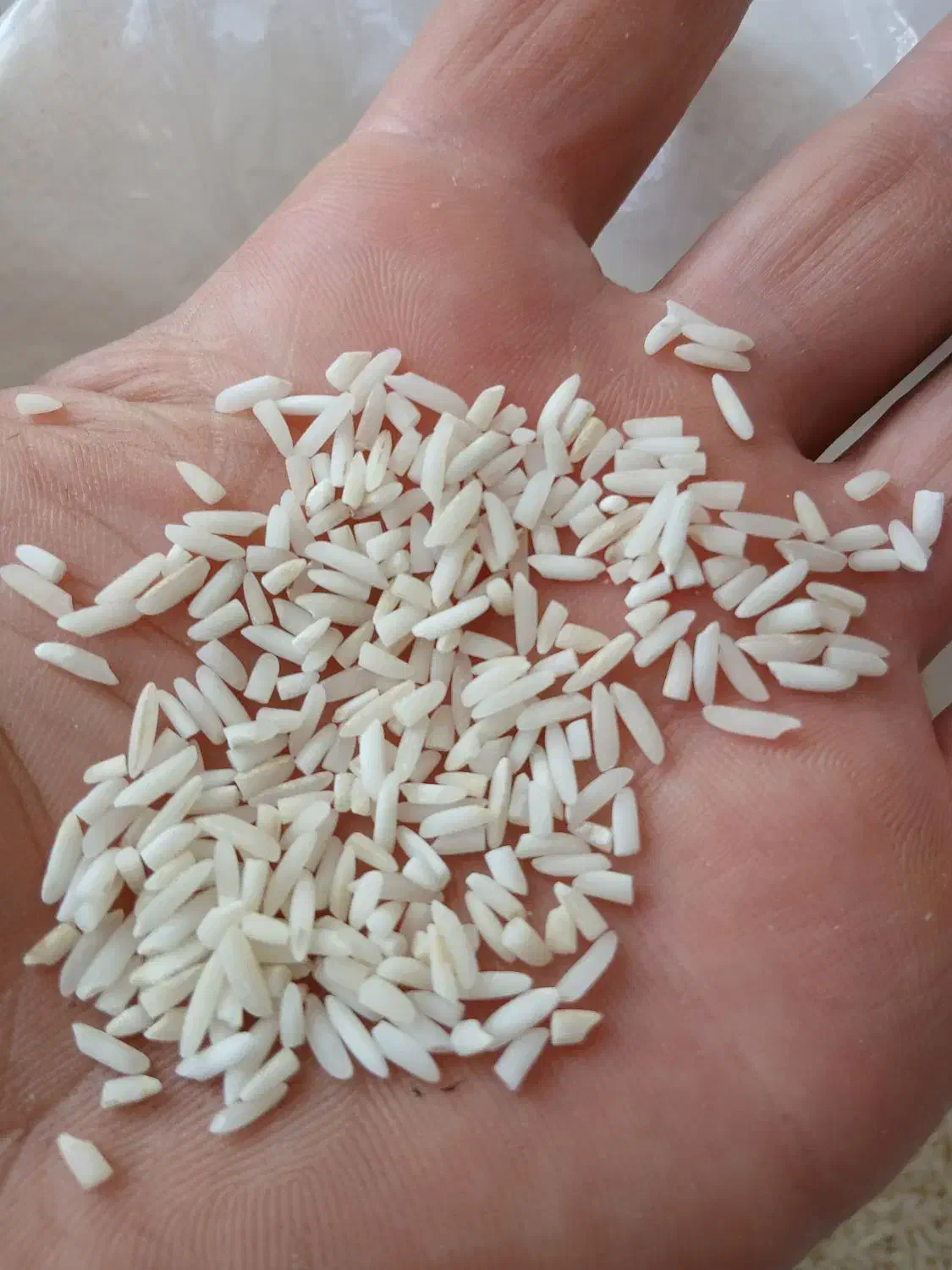 برنج لاشه|خوردنی و آشامیدنی|آستانه اشرفیه, |دیوار