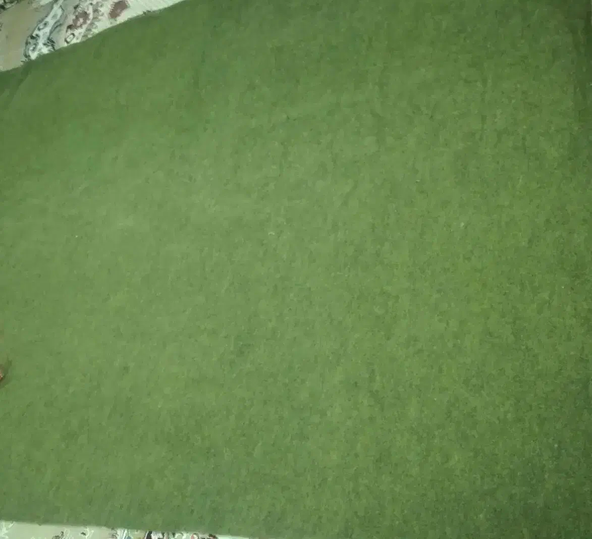 موکت  ۶ متری نو|موکت|بیرجند, |دیوار