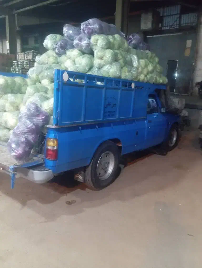 حمل بار با نیسان|خدمات حمل و نقل|پاکدشت, پاکدشت (مامازند)|دیوار